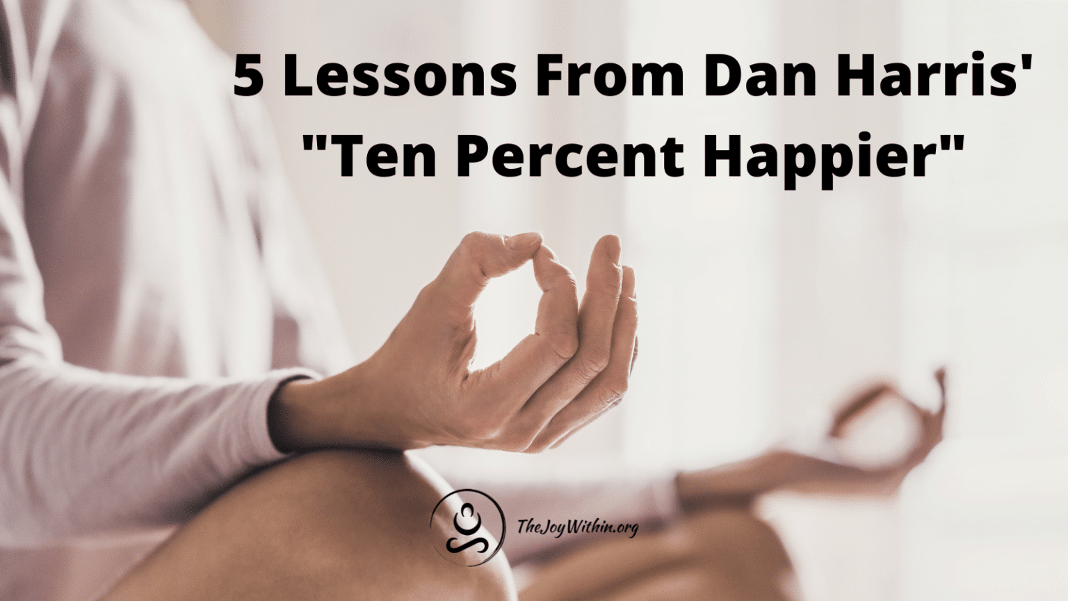 Lessons From Dan Harris Ten Percent Happier The Joy Within