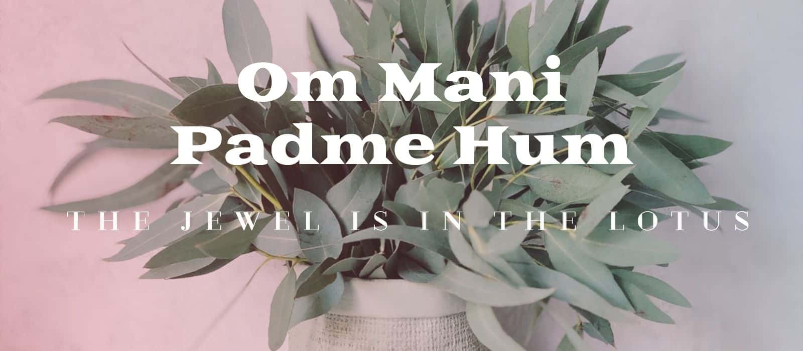 You are currently viewing 15 Benefits of Reciting Om Mani Padme Hum – Mantra Meditation