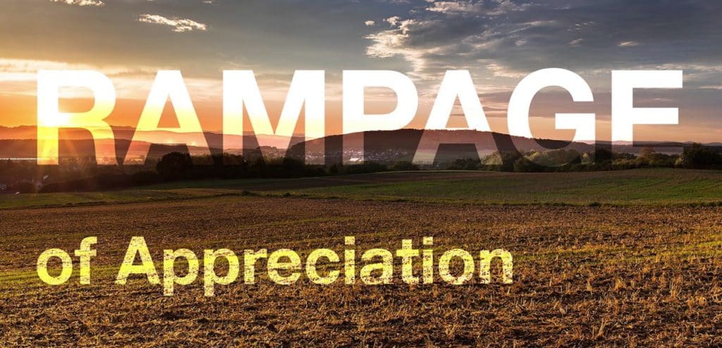 How To Do A Rampage of Appreciation: Easy Exercise with Examples