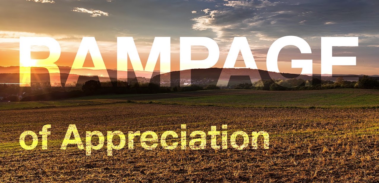 Read more about the article How To Do A Rampage of Appreciation: Easy Exercise with Examples