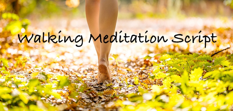 You are currently viewing Guided Walking Meditation Script by Jack Kornfield