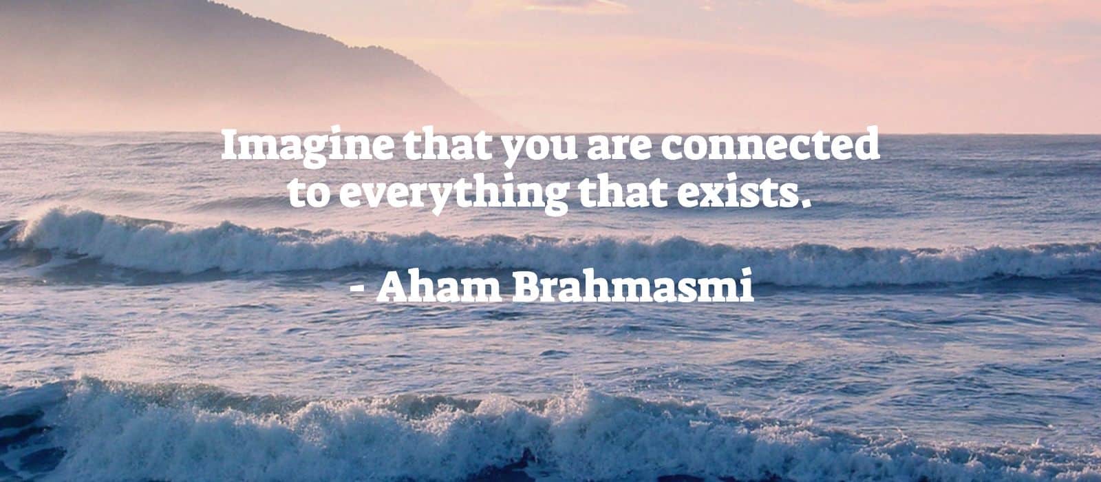 You are currently viewing Aham Brahmasmi