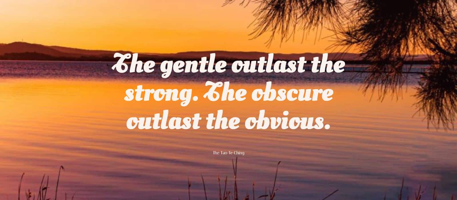 Read more about the article Wayne Dyer on The Importance of Humility & Living from The Tao Te Ching