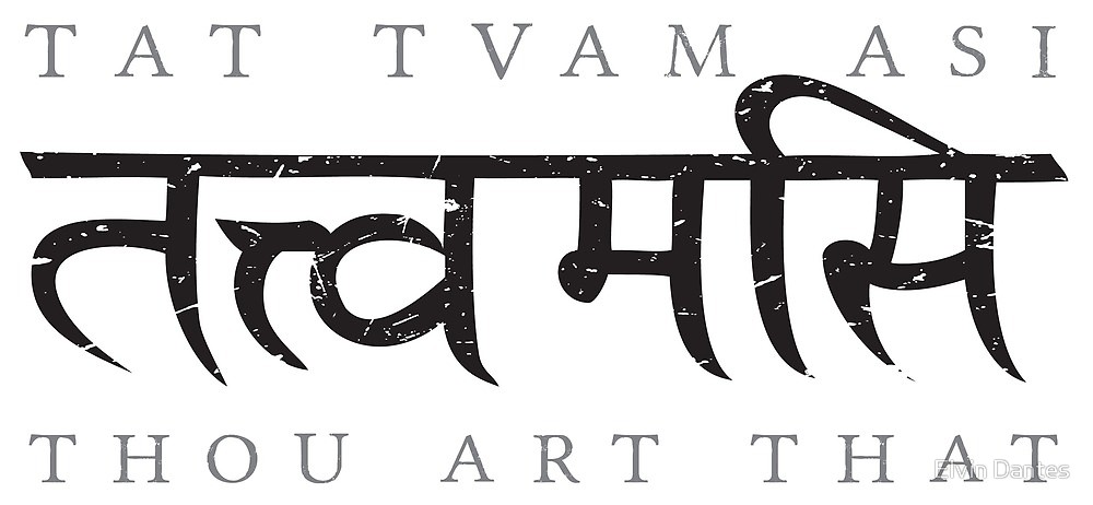 You are currently viewing Using The Tat Tvam Asi Mantra: Definition, Meaning, and Sutra Statements