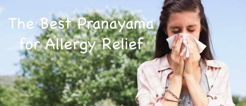 You are currently viewing The Best Pranayama for Allergy Relief