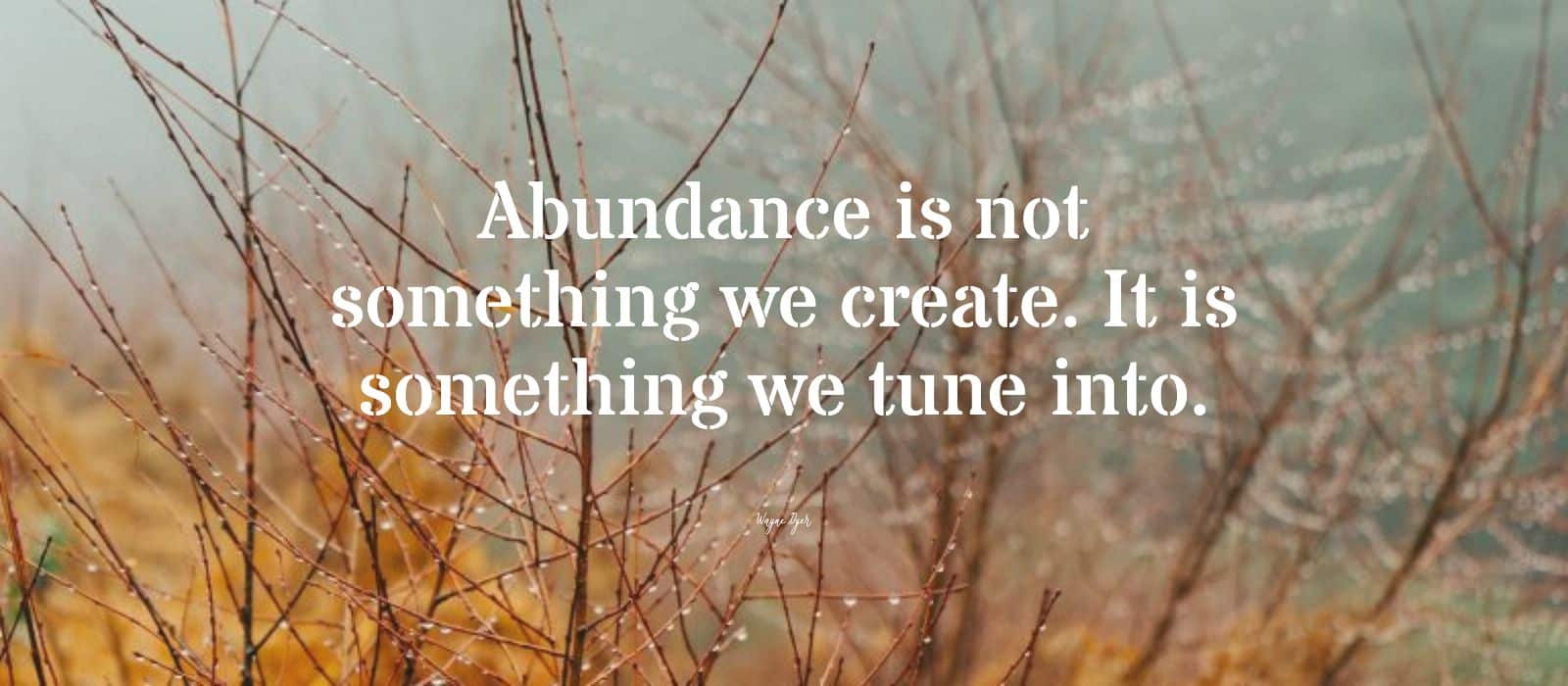 You are currently viewing The Reality of Abundance