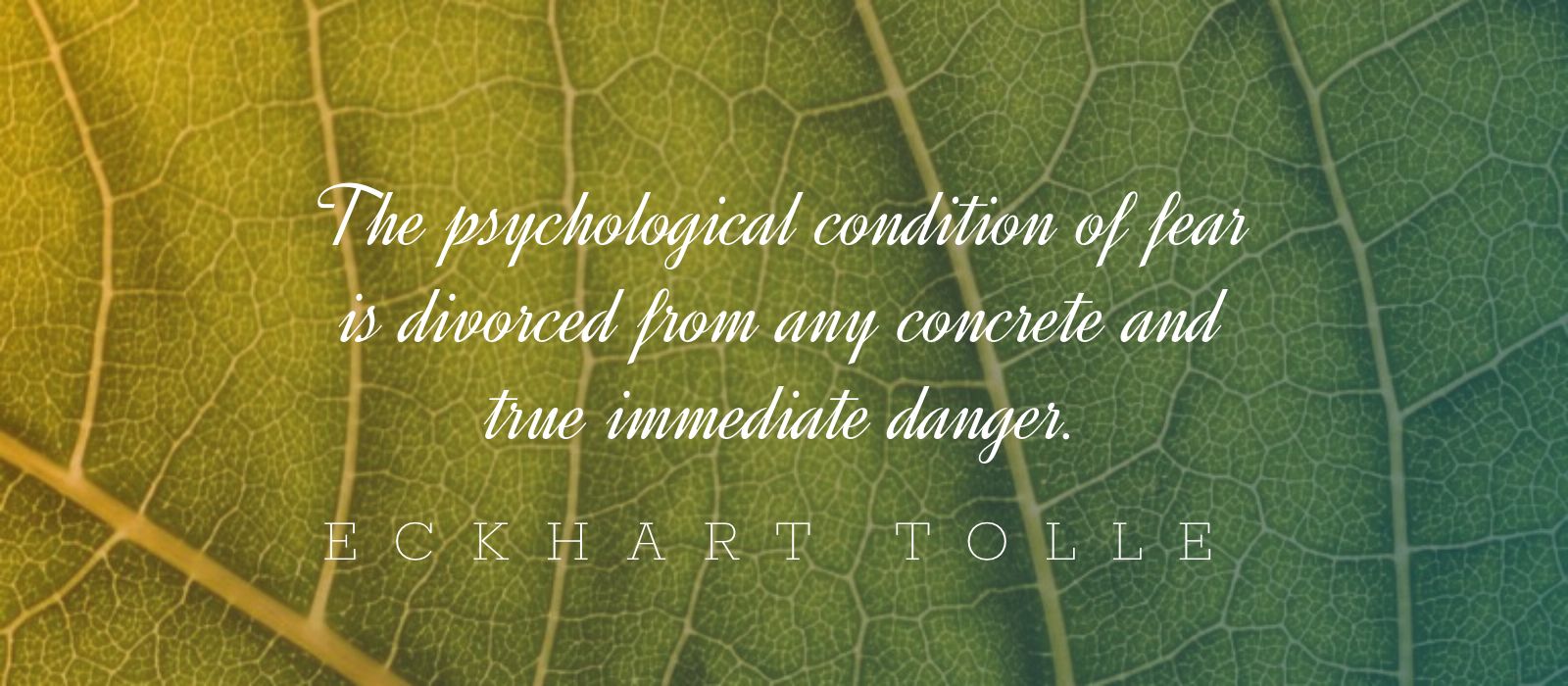 Read more about the article Eckhart Tolle On The Origin of Fear and How To Overcome It
