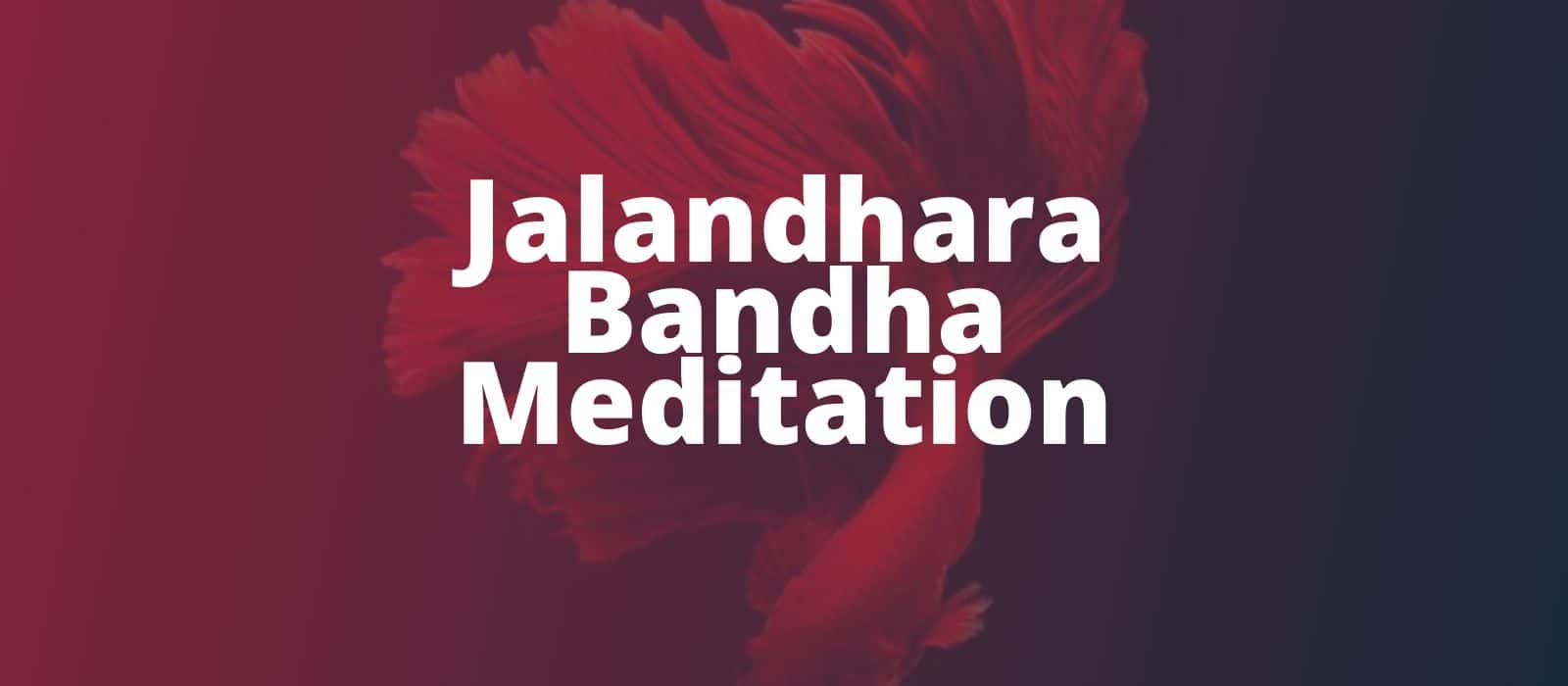 You are currently viewing Jalandhara Bandha Mudra – Guided Meditation with Throat Lock