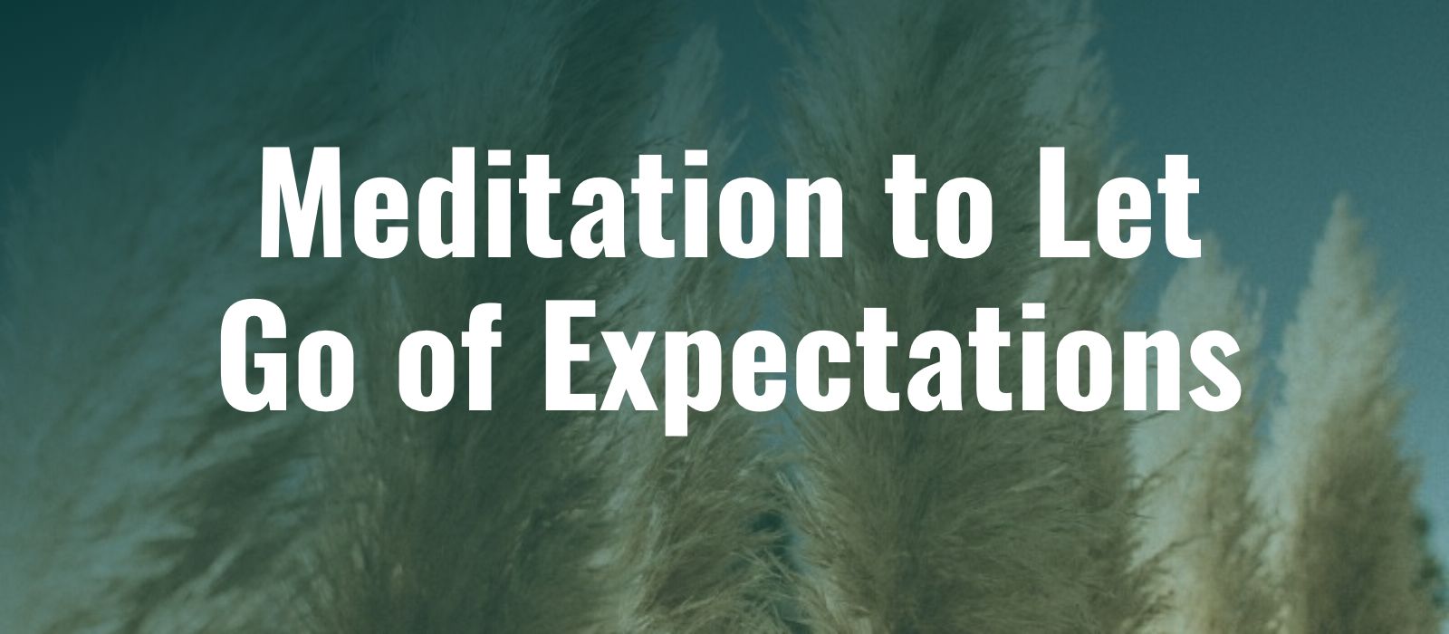 You are currently viewing Guided Meditation to Let Go of Expectations & Attachments