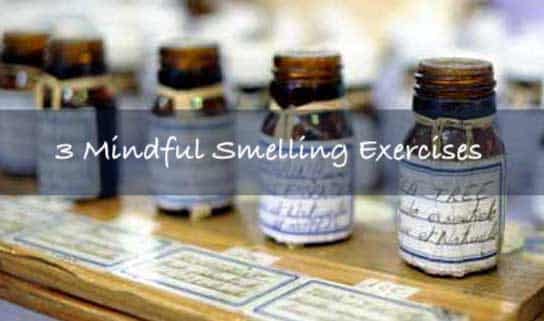 You are currently viewing Mindfulness Exercises to Improve Your Sense of Smell