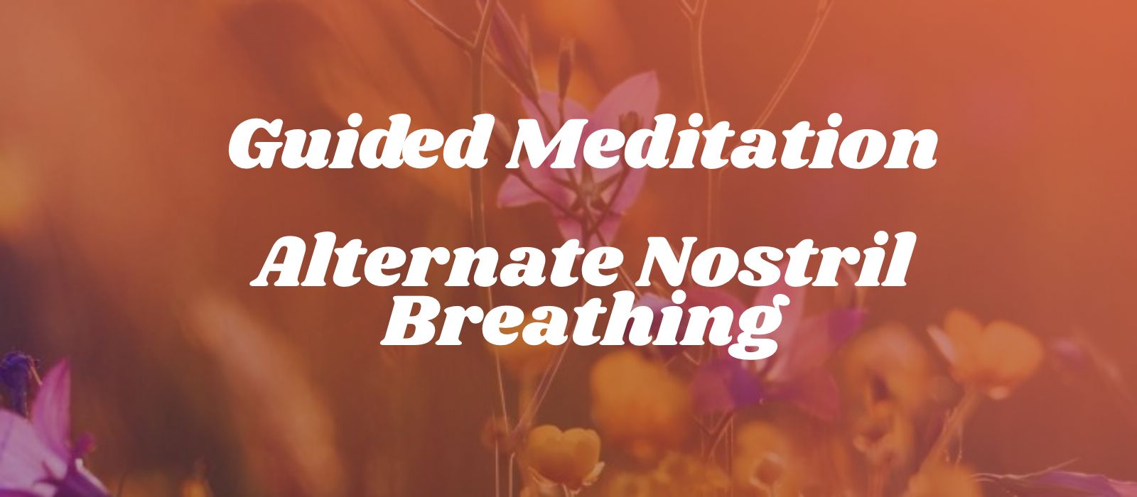You are currently viewing Guided Nadi Shodhana Meditation: Alternate Nostril Breathing