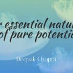 What Is The Law of Pure Potentiality?