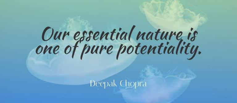 Read more about the article What Is The Law of Pure Potentiality?
