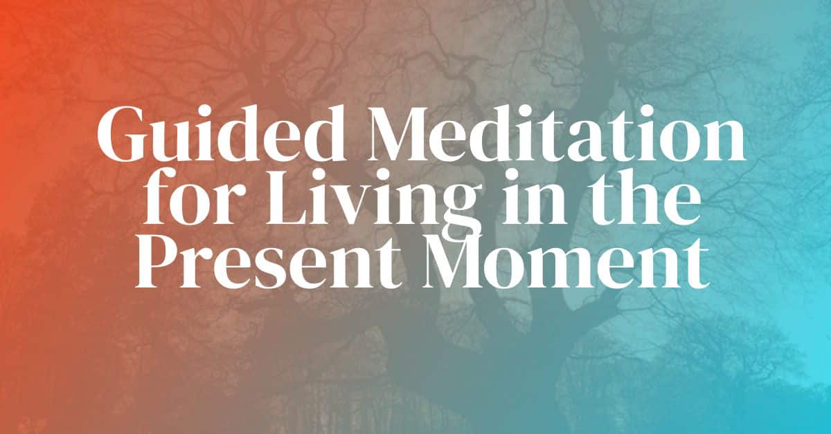 You are currently viewing Guided Meditation for Living in The Present Moment