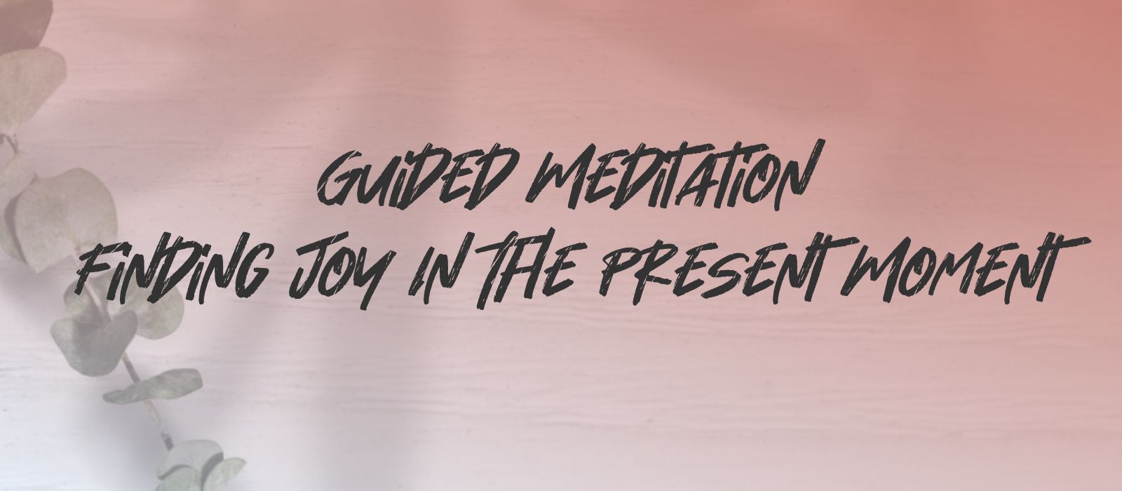 Read more about the article Guided Meditation for Present Moment Awareness, Peace, and Joy