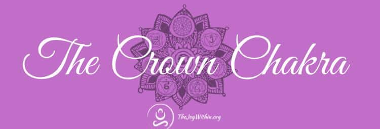 Read more about the article The Crown Chakra Sahasrara Energy Center