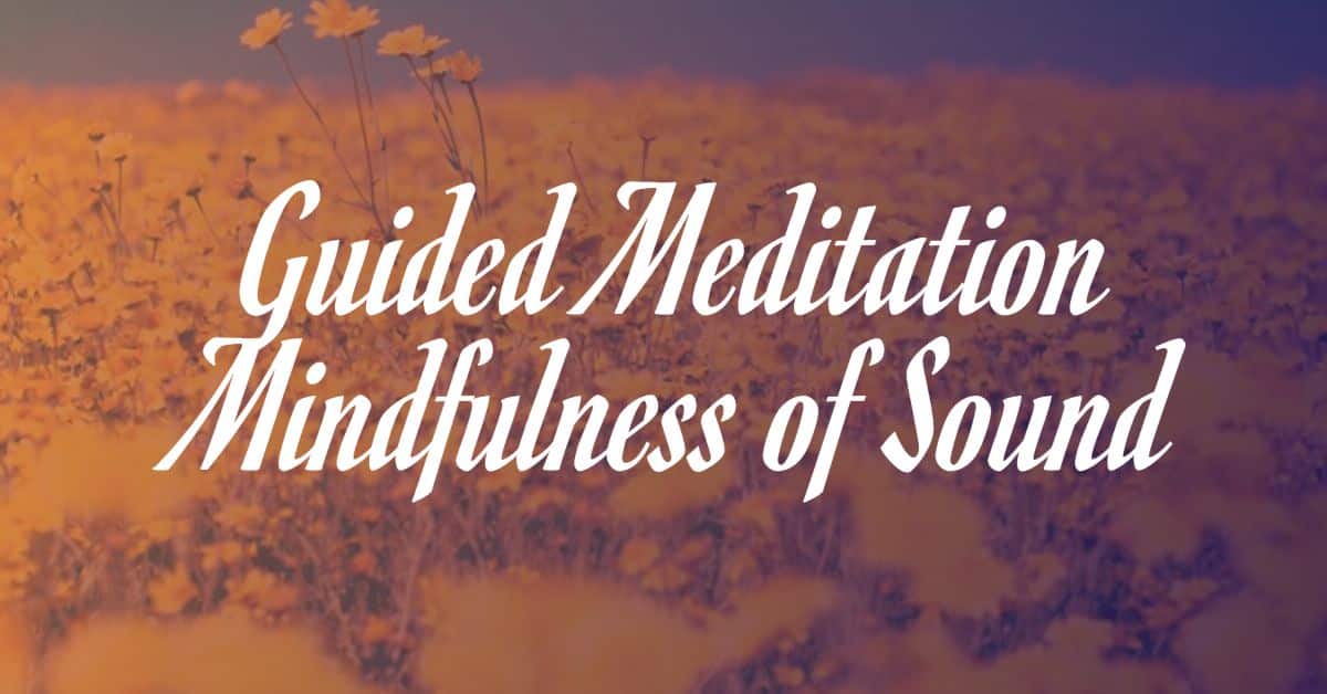 You are currently viewing Guided Mindfulness Sound Meditation Technique and Exercise