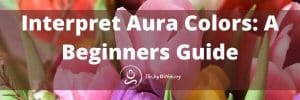 Read more about the article How To Interpret Aura Colors: A Beginners Guide