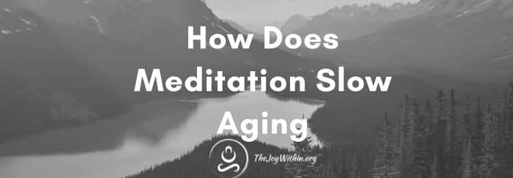You are currently viewing How Does Meditation Slow Aging
