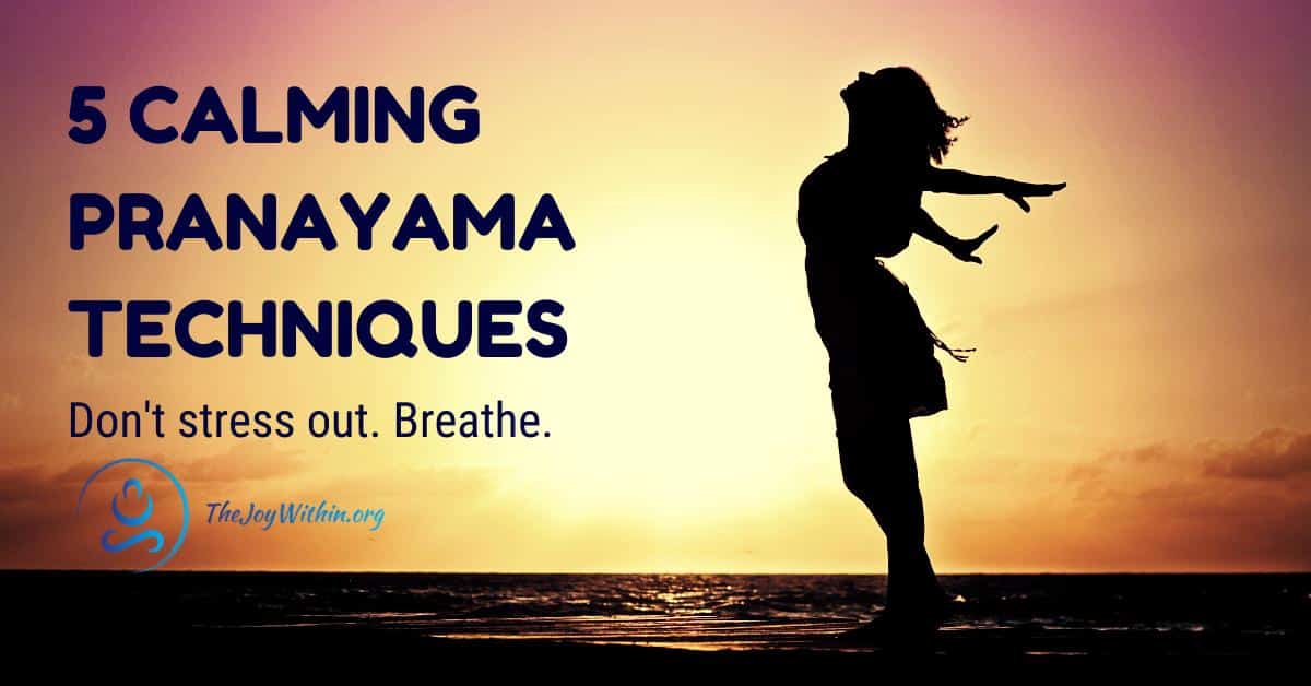 You are currently viewing 5 Calming Pranayama Techniques