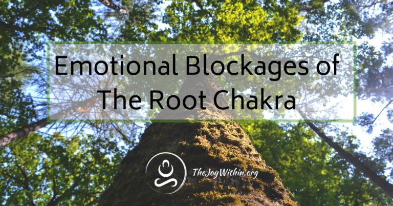 Read more about the article Emotional Blockages of The Root Chakra