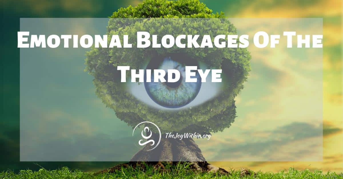 You are currently viewing Emotional Blockages of The Third Eye