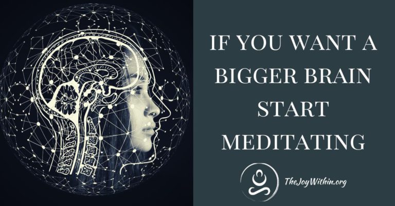 Read more about the article If You Want A Bigger Brain Start Meditating