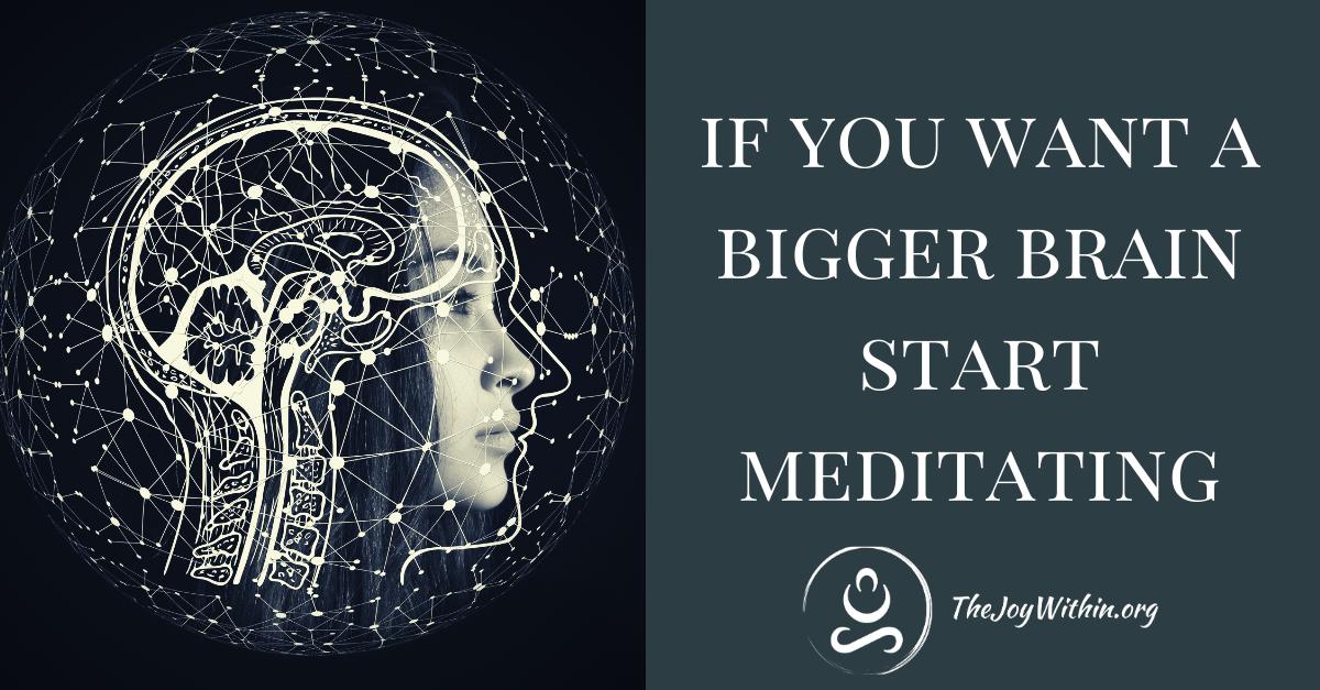 You are currently viewing If You Want A Bigger Brain Start Meditating