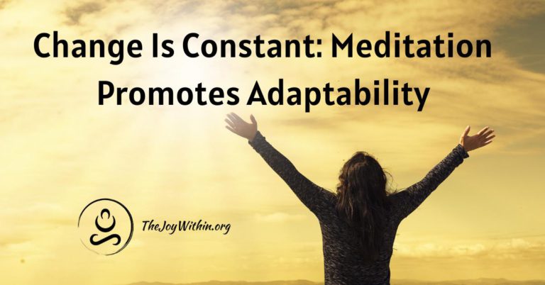 Read more about the article Change Is Constant: Meditation Promotes Adaptability