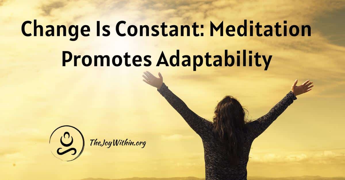 You are currently viewing Change Is Constant: Meditation Promotes Adaptability