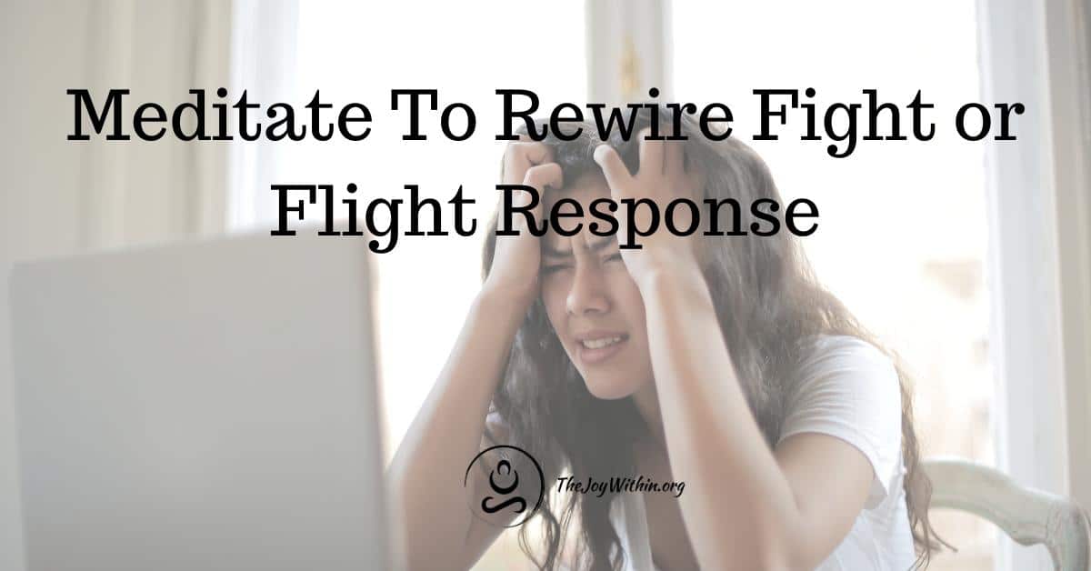 You are currently viewing Meditate To Rewire Fight or Flight Mode