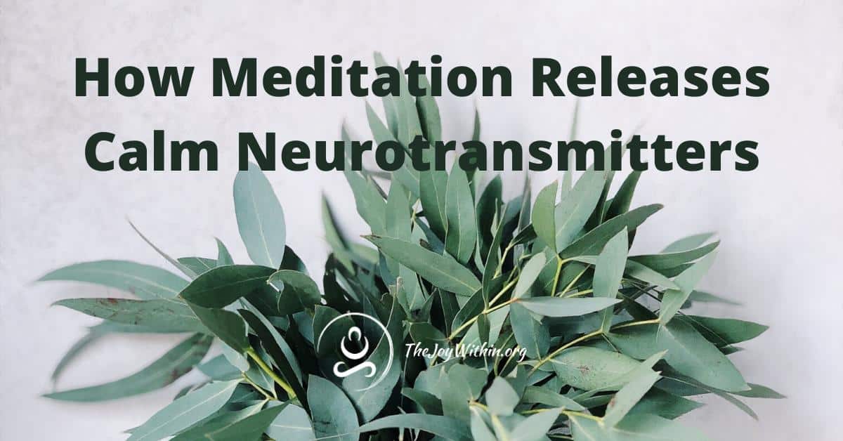 You are currently viewing How Meditation Releases Calm Neurotransmitters