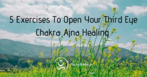 Read more about the article 5 Exercises To Open Your Third Eye Chakra: Ajna Healing