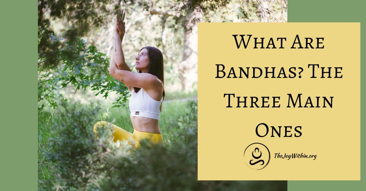 You are currently viewing What Are Bandhas? The Three Main Ones