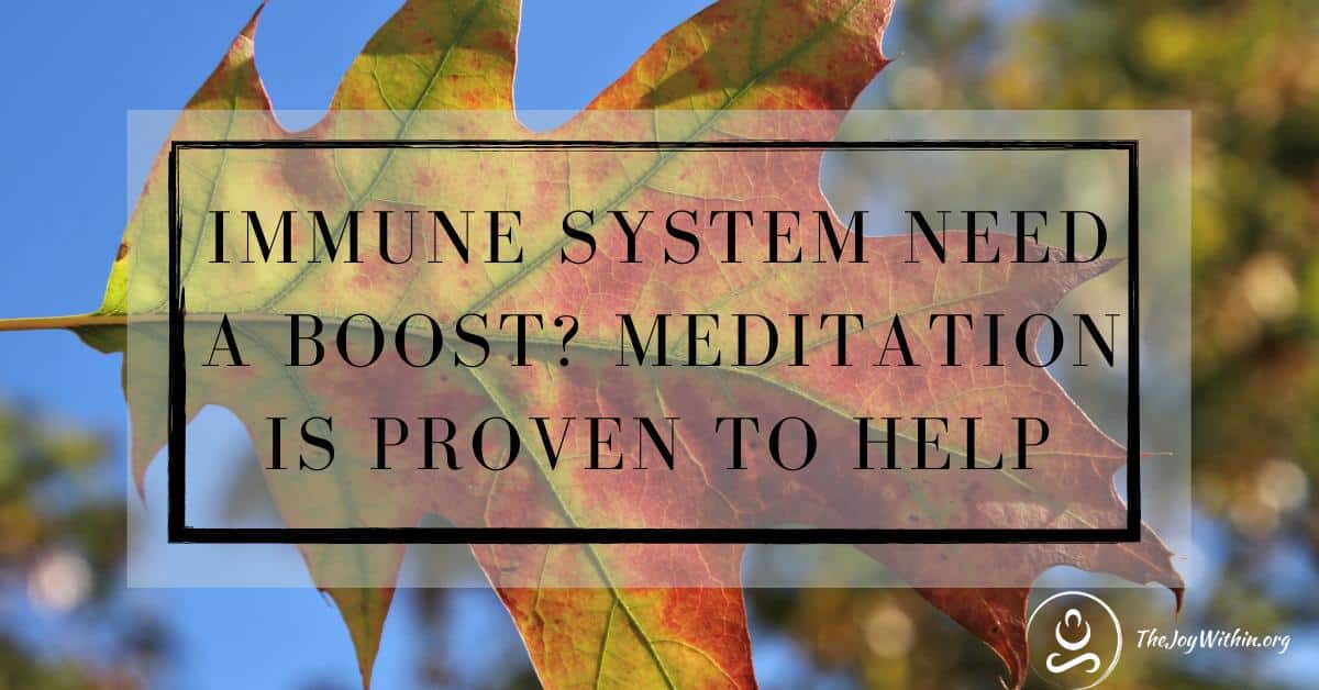 You are currently viewing Immune System Need A Boost? Meditation Is Proven To Help