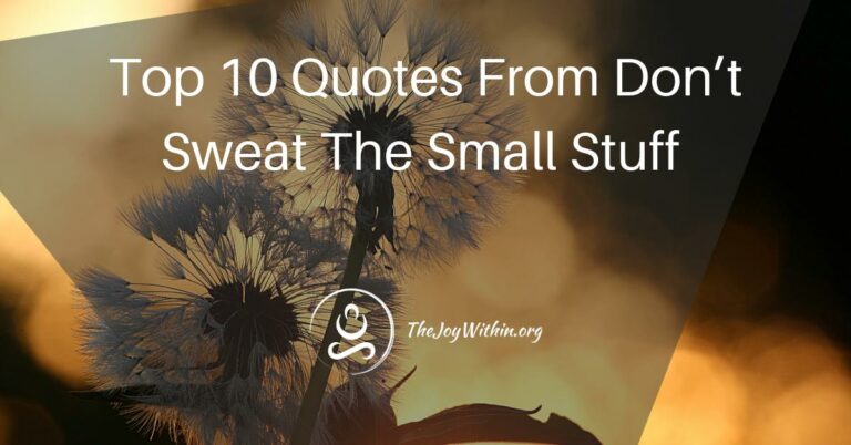 Read more about the article Top 10 Quotes From Don’t Sweat The Small Stuff