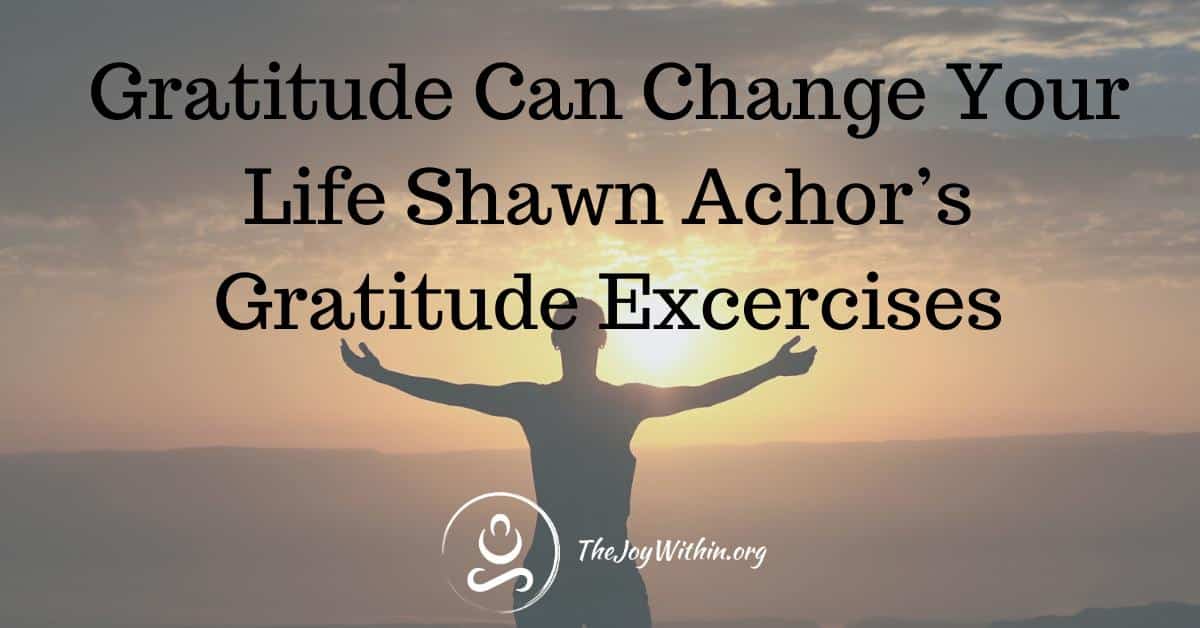 Read more about the article Gratitude Can Change Your Life Shawn Achor’s Gratitude Exercises