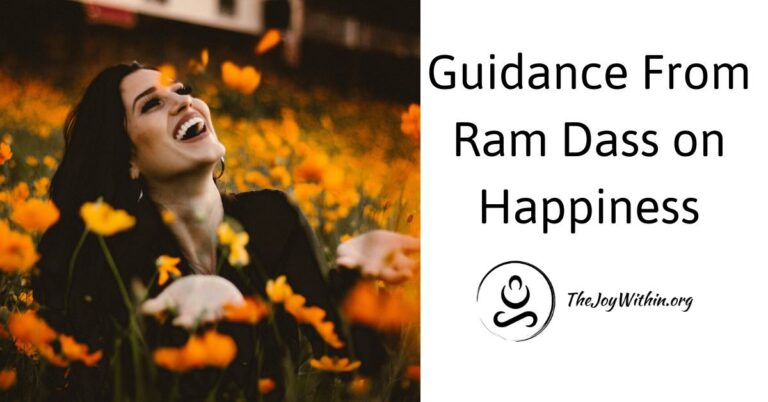 Read more about the article Guidance From Ram Dass On Happiness