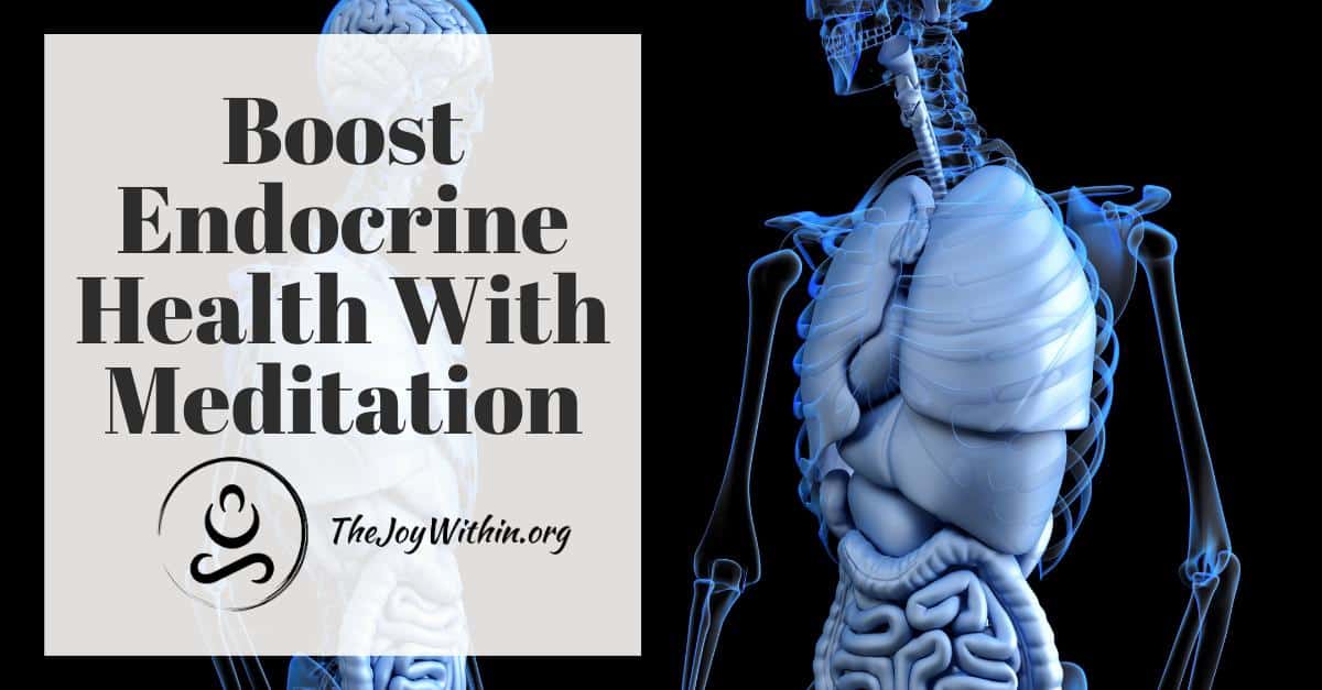 You are currently viewing Boost Endocrine Health With Meditation Here’s How