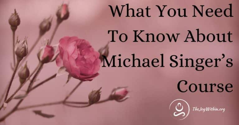 Read more about the article What You Need To Know About Michael Singer Course