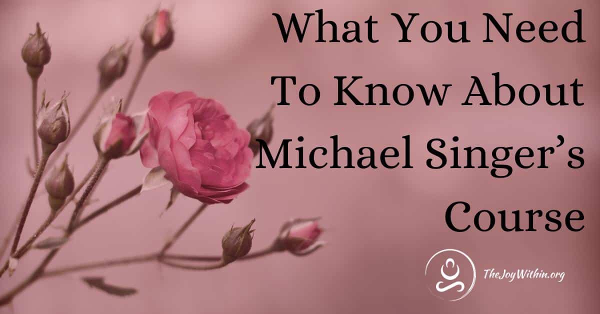 Read more about the article What You Need To Know About Michael Singer Course