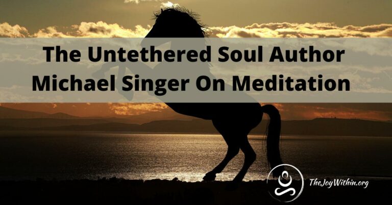 Read more about the article The Untethered Soul Author Michael Singer On Meditation