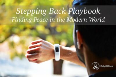 stepping back playbook cover img 400x600