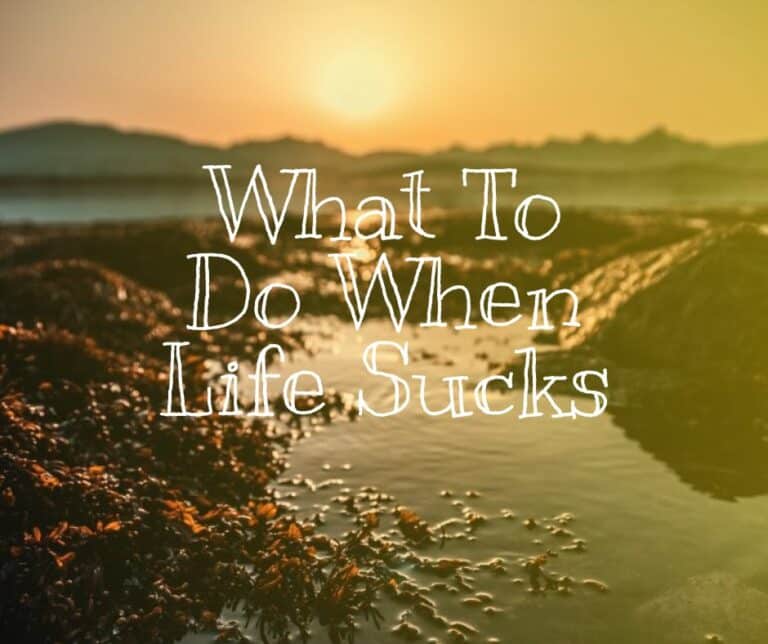 Read more about the article What To Do When Life Sucks