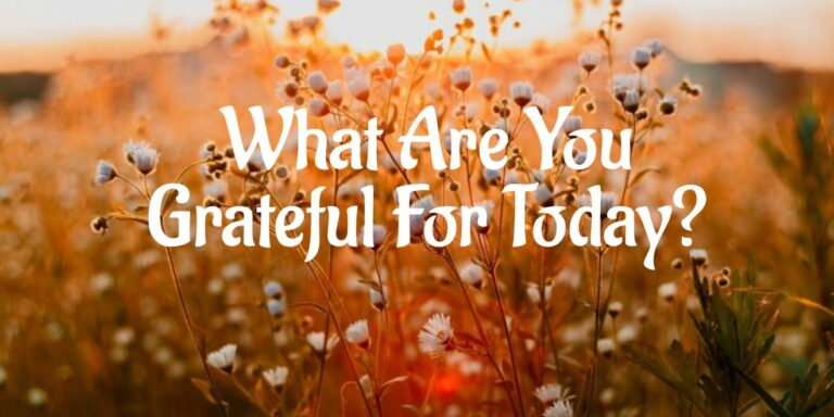 Read more about the article What Are You Grateful For Today?