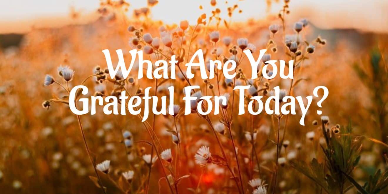 You are currently viewing What Are You Grateful For Today?