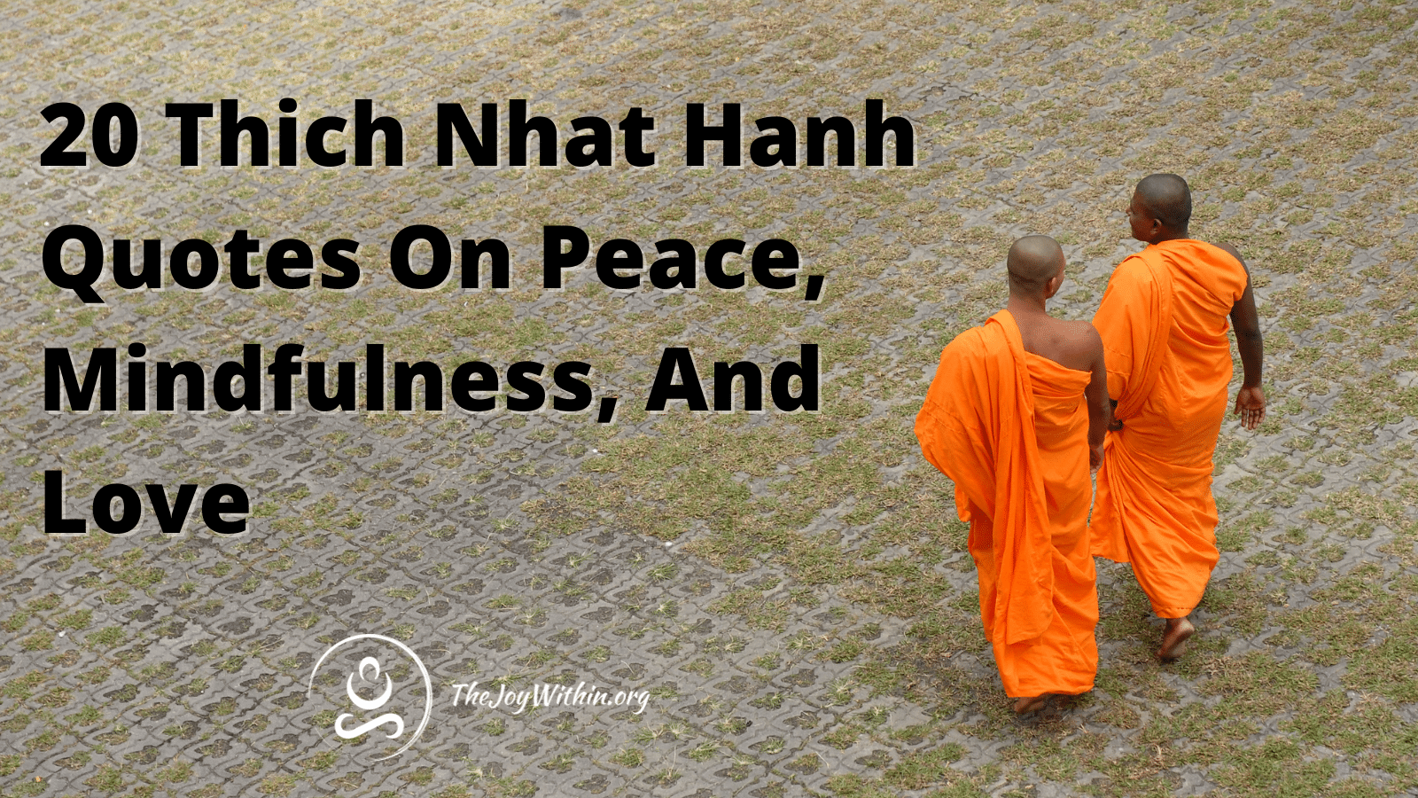 You are currently viewing 20 Thich Nhat Hanh Quotes on Peace, Mindfulness, And Love