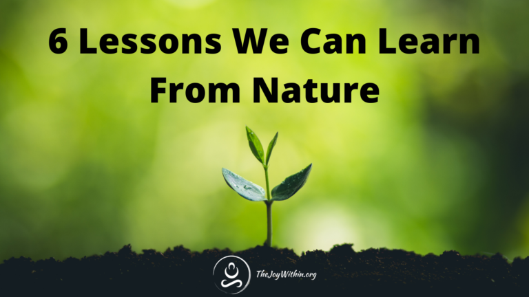 Read more about the article 6 Lessons We Can Learn From Nature