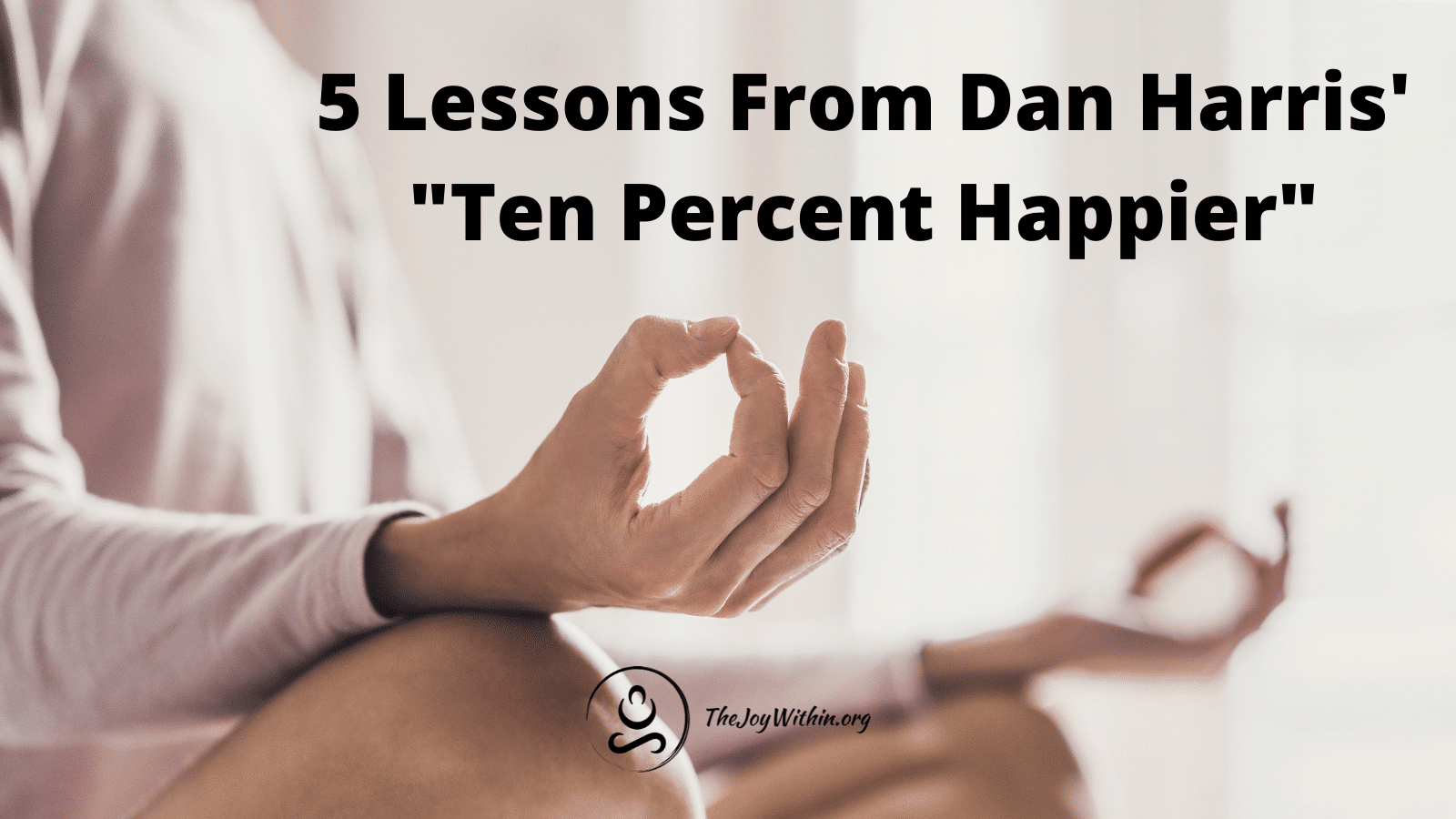 You are currently viewing 5 Lessons From Dan Harris’ “Ten Percent Happier”