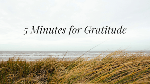You are currently viewing Guided Gratitude Practice (With Journal Prompts)